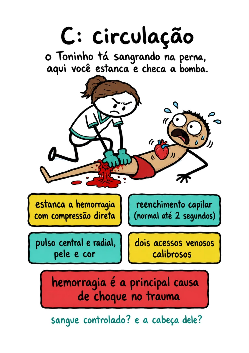 Ficha visual sobre circulação e controle inicial da hemorragia
